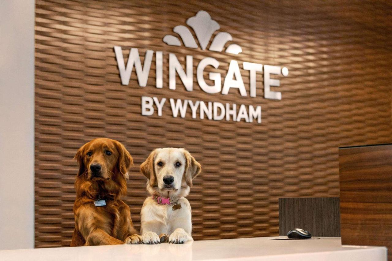 Hotel Wingate By Wyndham Lethbridge Esterno foto